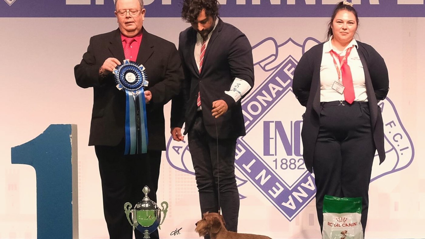 Il podio di gruppo al numero uno: il giudice con la coccarda blu, l’handler e il bassotto a pelo duro accanto alla coppa