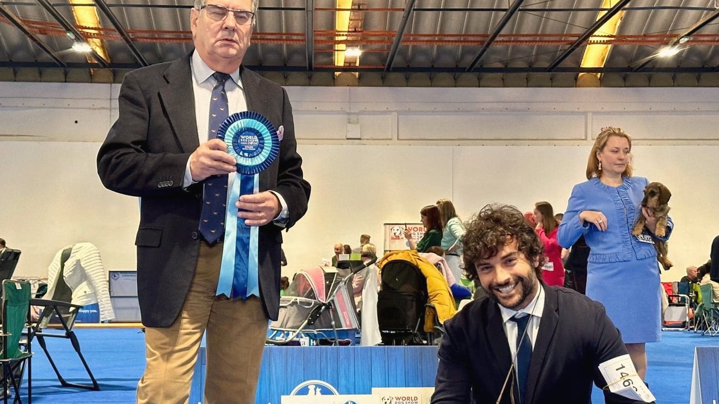 Il giudice con la coccarda del World Dog Show, l’handler inginocchiato nel ring accanto a lui