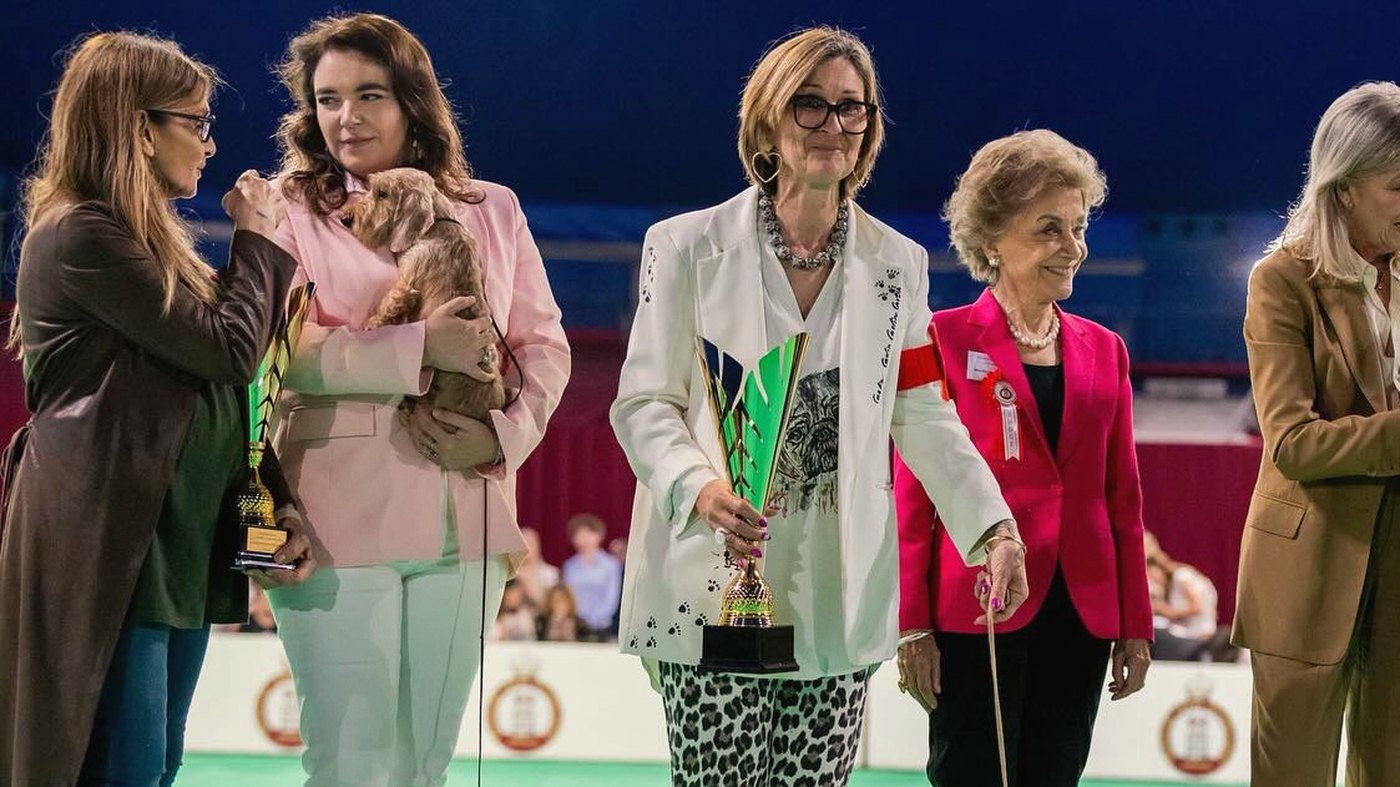 La finale nel ring: un cucciolo in braccio alla sua handler, i giudici accanto a lei con i trofei