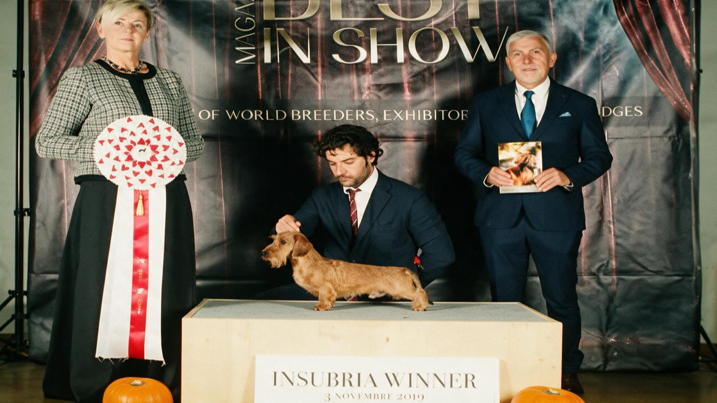 Fotografia dal ring, dall'archivio della casa: Insubria Winner, 2019
