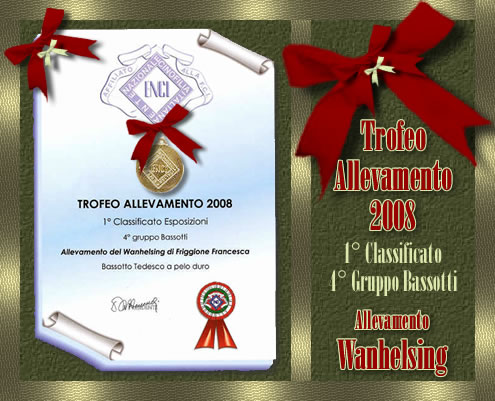 Pagina d’archivio: certificato ENCI — Trofeo Allevamento 2008, 1° Classificato Esposizioni, 4° gruppo Bassotti, Allevamento del Wanhelsing
