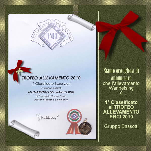 Pagina d’archivio: certificato ENCI — Trofeo Allevamento 2010, 1° Classificato Esposizioni, 4° gruppo Bassotti, Allevamento del Wanhelsing