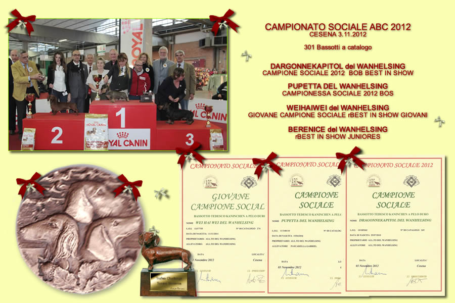 Pagina dell'albo dei titoli dall'archivio della casa: Campionato Sociale ABC · Cesena, 2012