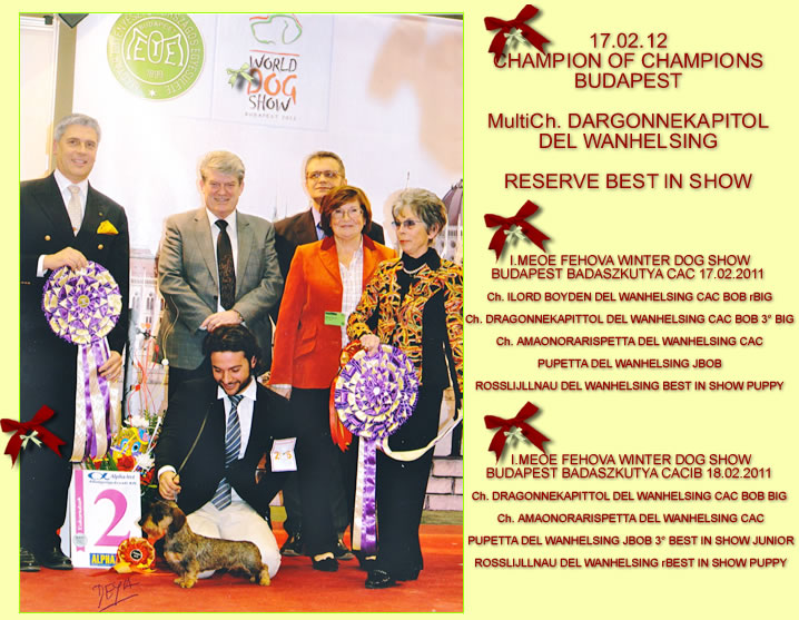 Pagina dell'albo dei titoli dall'archivio della casa: Champion of Champions · Budapest, 2012