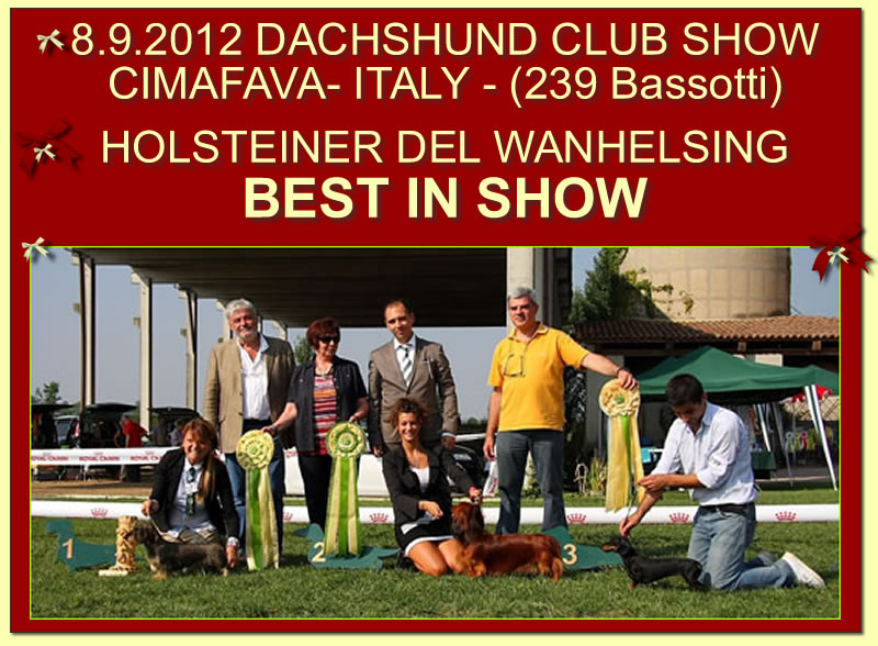 Pagina dell'albo dei titoli dall'archivio della casa: Dachshund Club Show · Cimafava, 2012