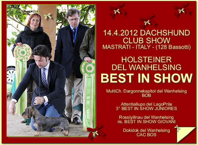 Pagina dell'albo dei titoli dall'archivio della casa: Dachshund Club · Mastrati, 2012