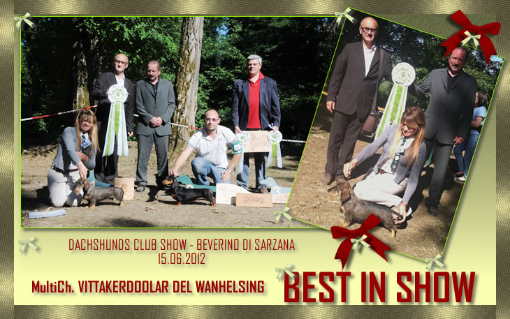Pagina dell'albo dei titoli dall'archivio della casa: Club Show · Beverino‑Sarzana, 2012