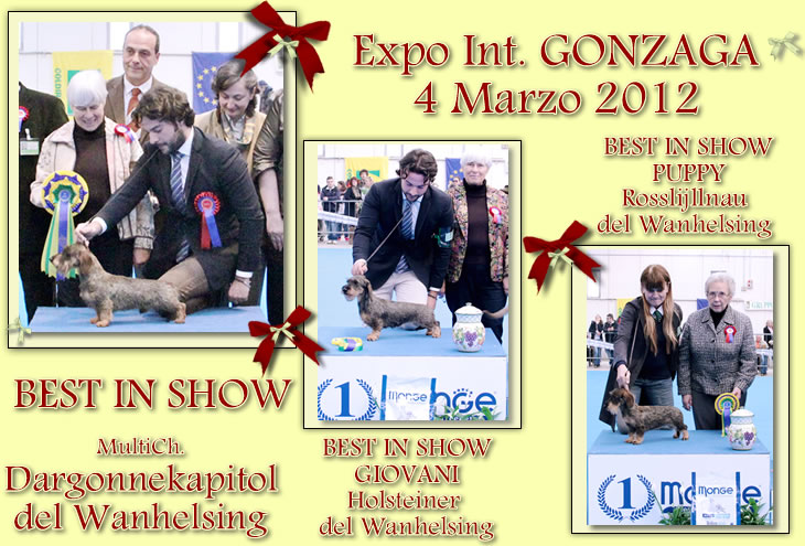 Pagina dell'albo dei titoli dall'archivio della casa: Esposizione · Gonzaga, 2012