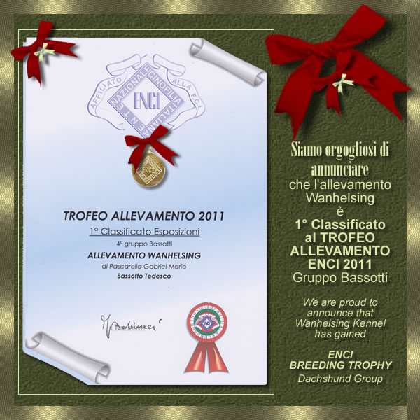 Pagina dell'albo dei titoli dall'archivio della casa: Trofeo ENCI, 2012