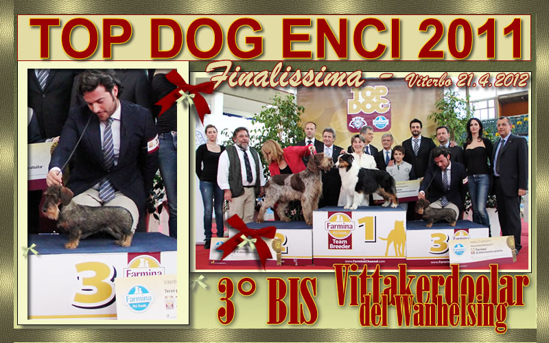 Pagina dell'albo dei titoli dall'archivio della casa: Top Dog ENCI 2011, 2012