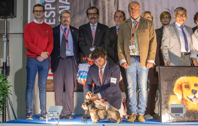 Pagina dell'albo dei titoli dall'archivio della casa: Internazionale · Bastia Umbra, 2018
