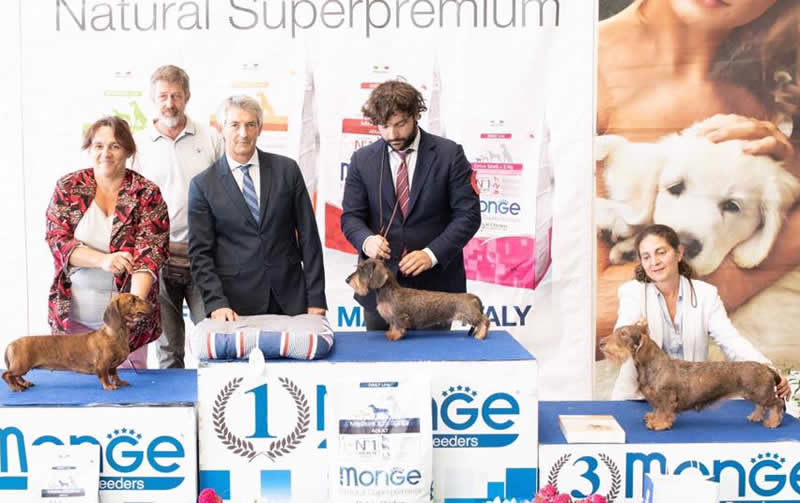 Pagina dell'albo dei titoli dall'archivio della casa: Internazionale · La Spezia, 2018