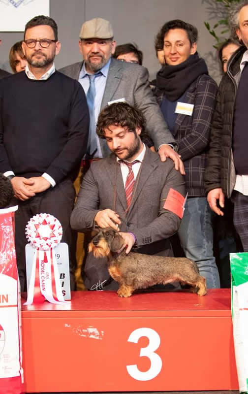 Fotografia dal ring, dall'archivio della casa: Internazionale · Arezzo‑Pistoia, 2019