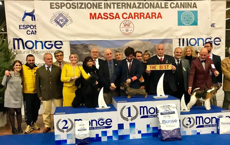 Fotografia dal ring, dall'archivio della casa: Internazionale · Massa Carrara, 2019