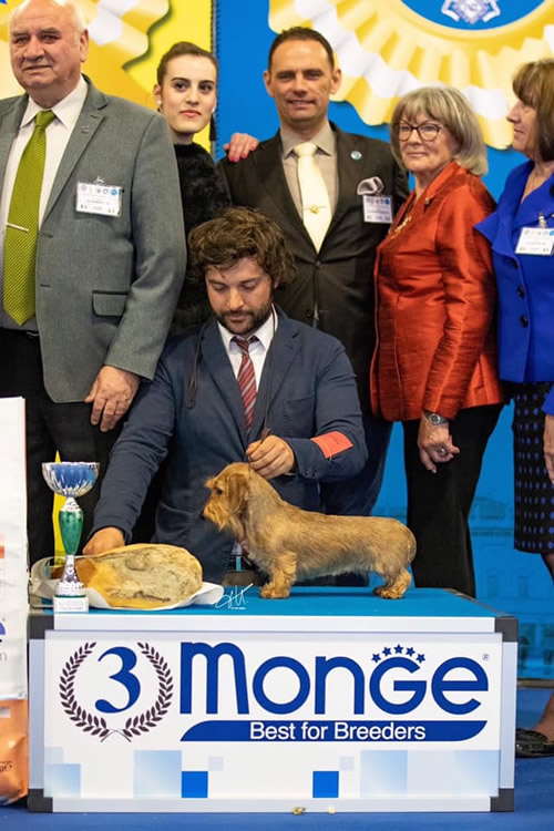 Fotografia dal ring, dall'archivio della casa: Internazionale · Montichiari, 2019