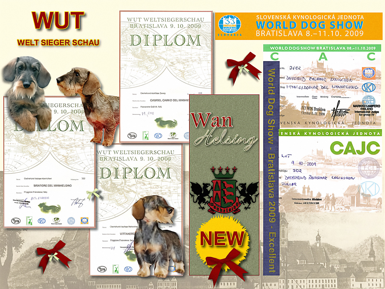 Pagina d’archivio: diplomi della WUT Weltsiegerschau, Bratislava 2009, con fotografie dei bassotti a pelo duro della casa