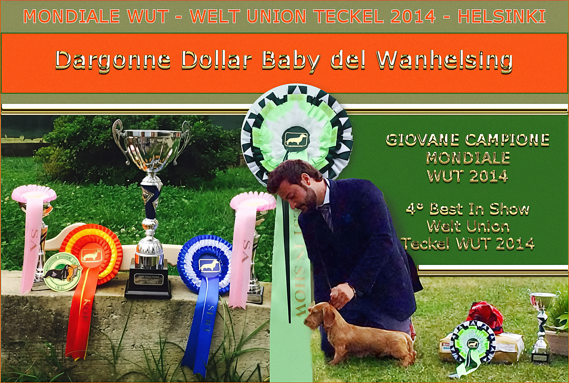 Pagina d’archivio: Dargonne Dollar Baby del Wanhelsing con coccarde e coppa — Giovane Campione Mondiale, WUT 2014, Helsinki