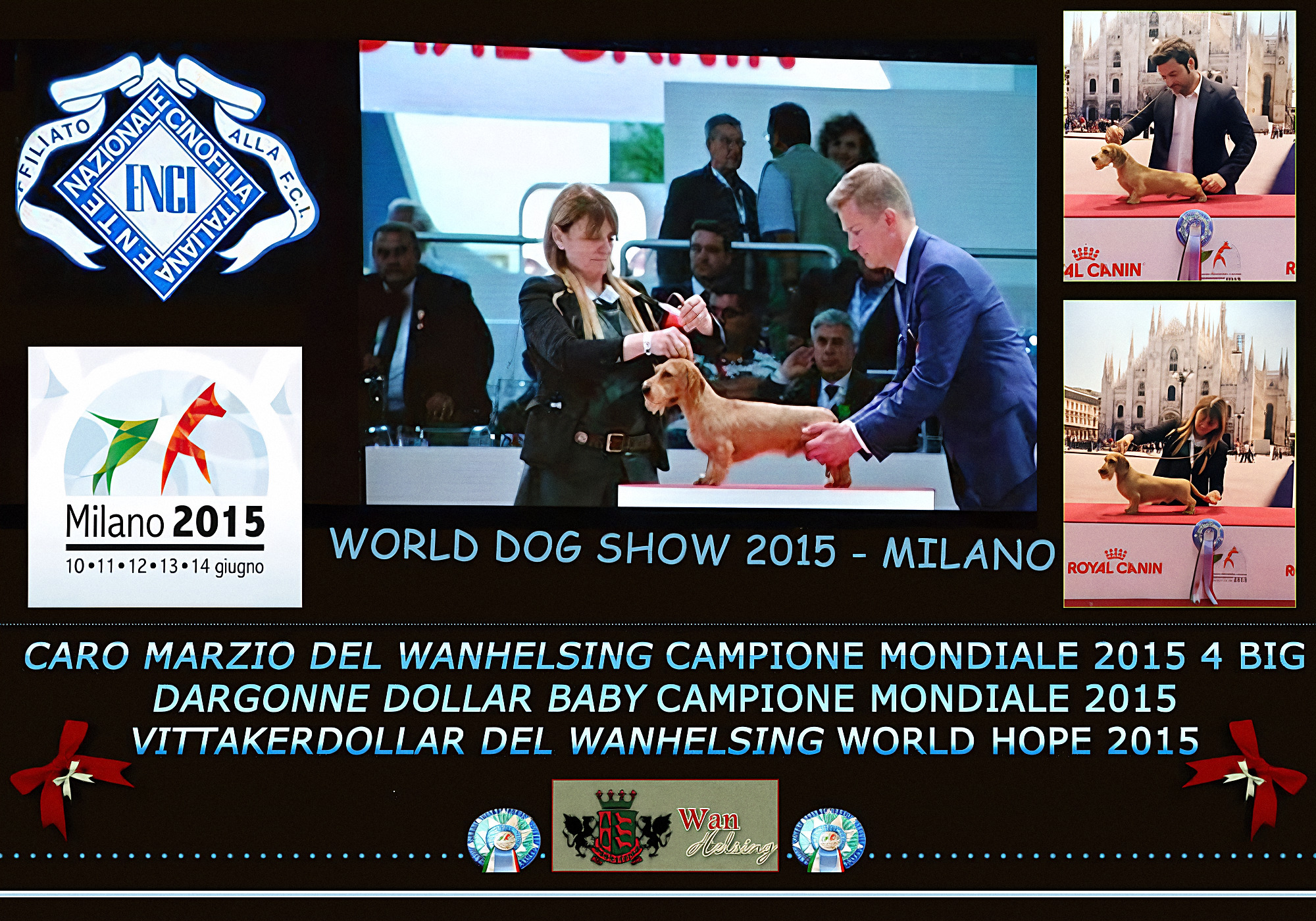 Pagina d’archivio: World Dog Show 2015 a Milano — Caro Marzio e Dargonne Dollar Baby, titoli mondiali della casa